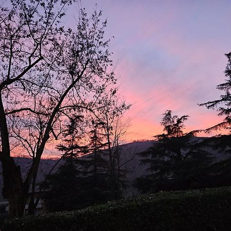 Home Story Via Della Resistenza 3 La Noce Mercatale Ozzano Dell'Emilia Bo 외부 사진